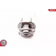 ESEN SKV 29SKV062 - Roulement de roue avant