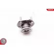 ESEN SKV 29SKV066 - Roulement de roue arrière