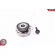 ESEN SKV 29SKV069 - Roulement de roue arrière