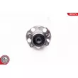 ESEN SKV 29SKV071 - Roulement de roue arrière