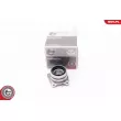ESEN SKV 29SKV123 - Roulement de roue arrière