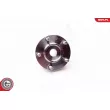 ESEN SKV 29SKV130 - Roulement de roue avant