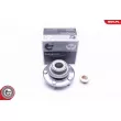 ESEN SKV 29SKV193 - Roulement de roue arrière