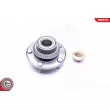 ESEN SKV 29SKV193 - Roulement de roue arrière