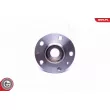 ESEN SKV 29SKV209 - Roulement de roue arrière