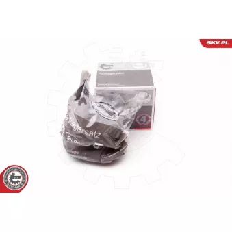 Roulement de roue arrière ESEN SKV 29SKV211