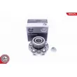 ESEN SKV 29SKV213 - Roulement de roue arrière