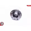 ESEN SKV 29SKV217 - Roulement de roue arrière