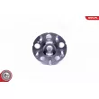 ESEN SKV 29SKV236 - Roulement de roue arrière