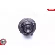 ESEN SKV 29SKV245 - Roulement de roue arrière
