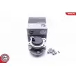 ESEN SKV 29SKV251 - Roulement de roue arrière