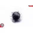 ESEN SKV 29SKV287 - Roulement de roue arrière