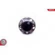 ESEN SKV 29SKV293 - Roulement de roue arrière