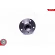 ESEN SKV 29SKV295 - Roulement de roue arrière