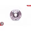 ESEN SKV 29SKV300 - Roulement de roue arrière