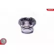 ESEN SKV 29SKV303 - Roulement de roue arrière