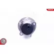 ESEN SKV 29SKV310 - Roulement de roue arrière