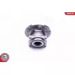 ESEN SKV 29SKV315 - Roulement de roue arrière