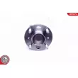 ESEN SKV 29SKV316 - Roulement de roue arrière