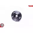 ESEN SKV 29SKV378 - Roulement de roue arrière