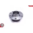 ESEN SKV 29SKV440 - Roulement de roue arrière