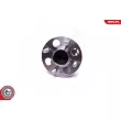 ESEN SKV 29SKV556 - Roulement de roue arrière