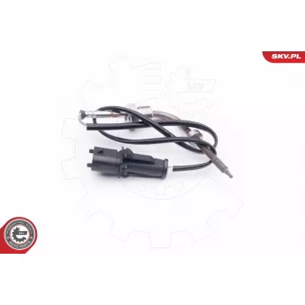 Capteur, température des gaz ESEN SKV 30SKV011