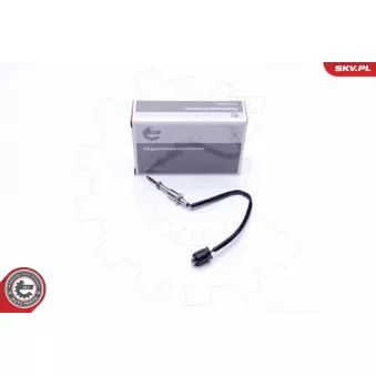 Capteur, température des gaz ESEN SKV 30SKV105