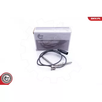 Capteur, température des gaz ESEN SKV OEM 03G906088M