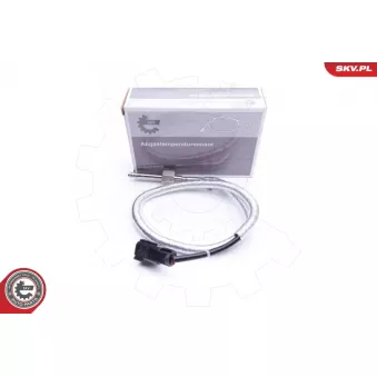 Capteur, température des gaz ESEN SKV 30SKV155 pour BMW Série 2 2.8 CRD - 150cv