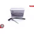 ESEN SKV 30SKV156 - Capteur, température des gaz