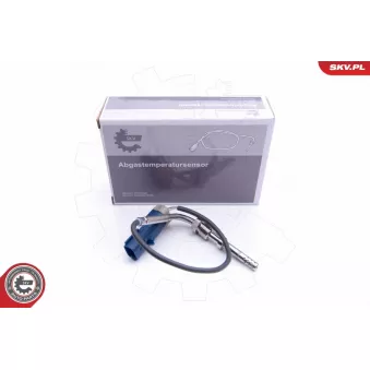 Capteur, température des gaz ESEN SKV 30SKV177