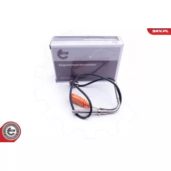 Capteur, température des gaz ESEN SKV OEM 4H0906088AF
