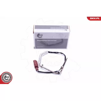 Capteur, température des gaz ESEN SKV OEM 8K0906088C