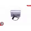 Capteur, température des gaz ESEN SKV [30SKV294]