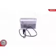 Capteur, température des gaz ESEN SKV [30SKV296]