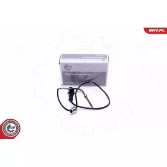 Capteur, température des gaz ESEN SKV 30SKV296