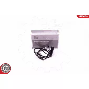 Capteur, température des gaz ESEN SKV 30SKV298