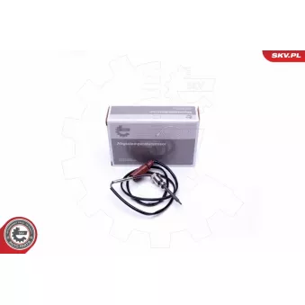 Capteur, température des gaz ESEN SKV OEM 07Z906088A