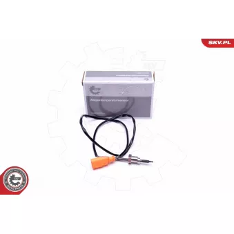 Capteur, température des gaz ESEN SKV 30SKV311