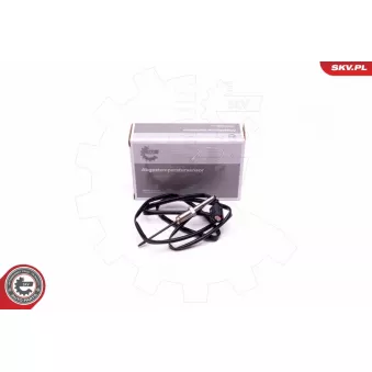Capteur, température des gaz ESEN SKV 30SKV324