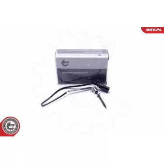 Capteur, température des gaz ESEN SKV OEM 4M0906088N