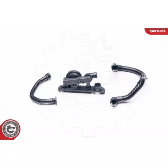 Kit de réparation, ventilation du carter-moteur ESEN SKV 31SKV003 pour VOLKSWAGEN JETTA 2.0 TFSI - 200cv