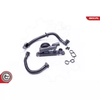 Kit de réparation, ventilation du carter-moteur ESEN SKV 31SKV005 pour VOLKSWAGEN JETTA 2.0 TFSI - 200cv