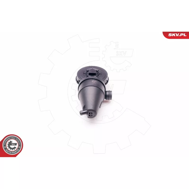 Soupape, dégazage du carter ESEN SKV 31SKV038 - Visuel 1