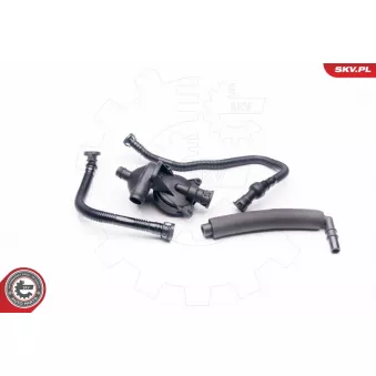 Kit de réparation, ventilation du carter-moteur ESEN SKV OEM 11617503520