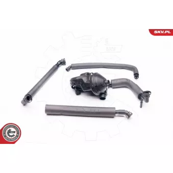 Kit de réparation, ventilation du carter-moteur ESEN SKV 31SKV045