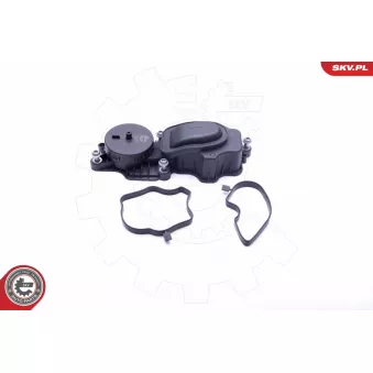 Soupape, dégazage du carter ESEN SKV 31SKV069