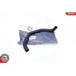 ESEN SKV 31SKV134 - Tuyau, ventilation de carter-moteur