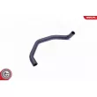 ESEN SKV 31SKV134 - Tuyau, ventilation de carter-moteur